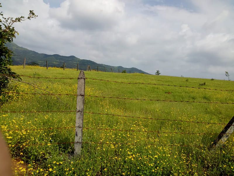 Samrajya Spring Medows Plots for sale Bhor , Plot for sale in Bhor